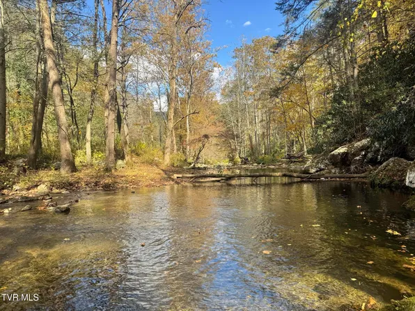 150 Little Branch Rd, Flag Pond, TN 37657