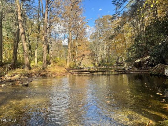 150 Little Branch Rd, Flag Pond, TN 37657
