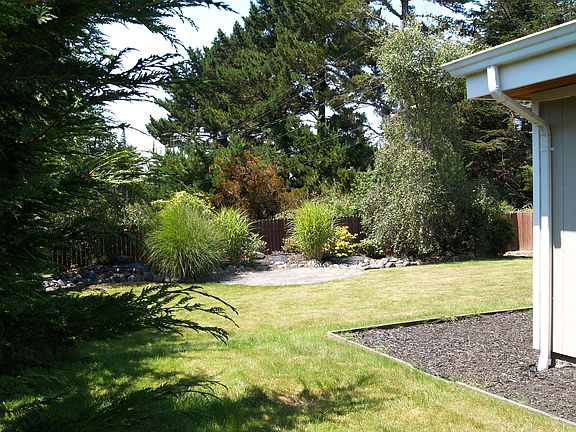 Lush Backyard