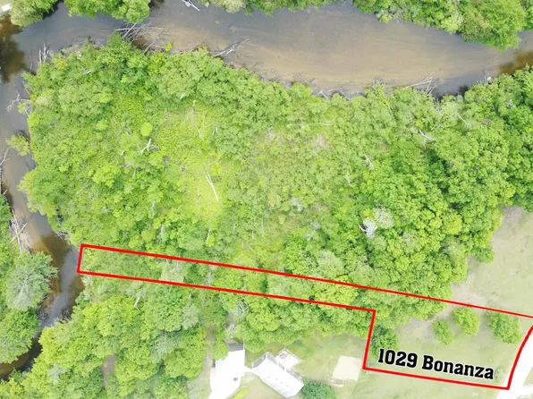 1029 Bonanza Ln, Weidman, MI 48893