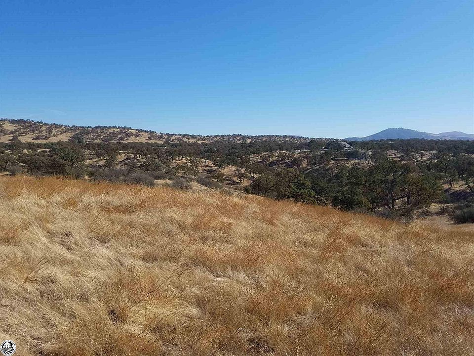 1st image of Lot 494 Zarzamora
