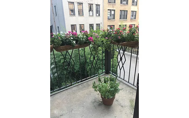 Rented by Douglas Elliman | media 16
