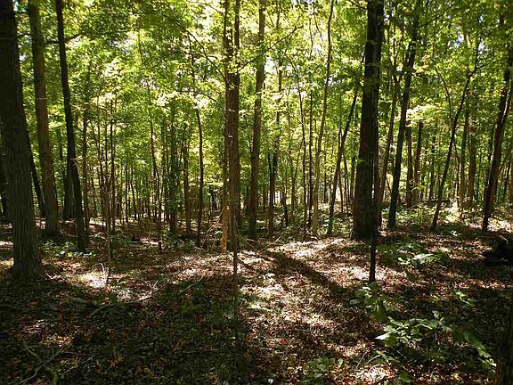 4th image of Lot 52 Waterford Way Lot 52