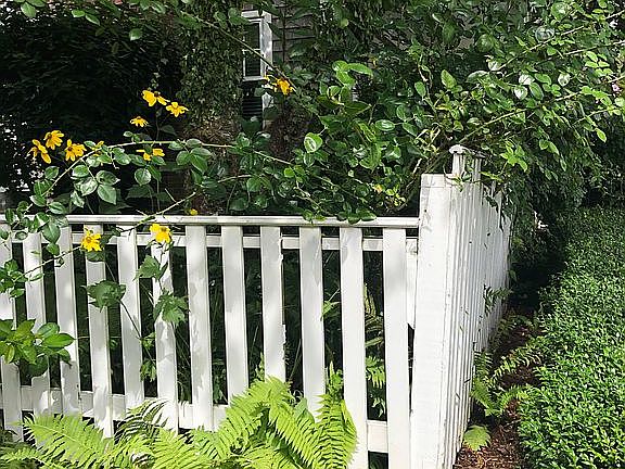 Front corner by driveway