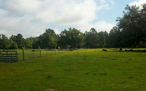 1st image of 7613 County Road 249