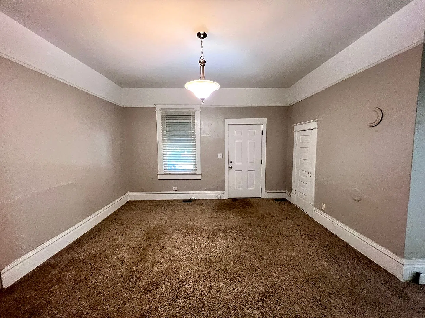 Earlewood apartment — Photo 3