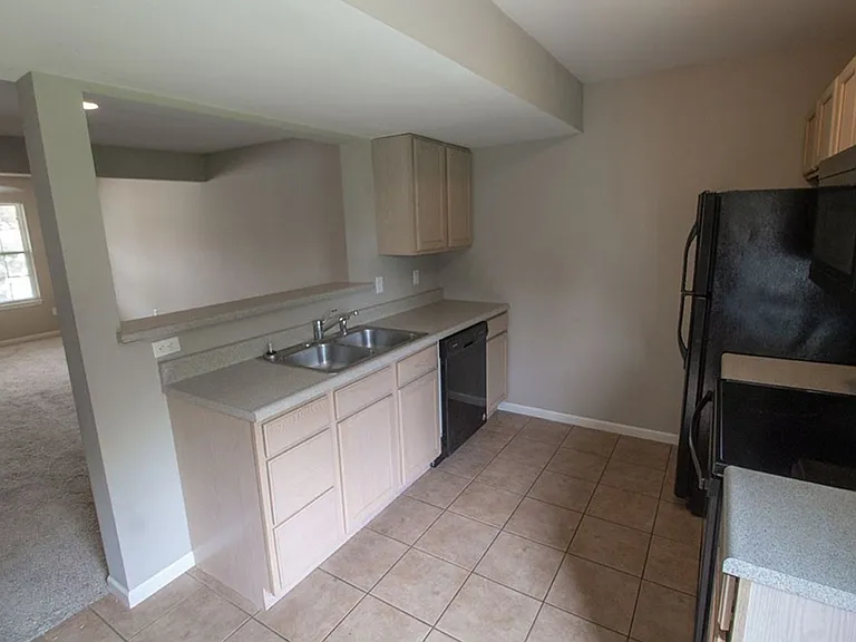 4006 Snowy Owl Dr — Photo 8