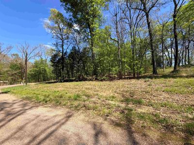 LOT 1&2 Pelican Dr, Winnsboro, TX, 75494