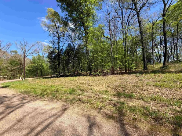 LOT 1&2 Pelican Dr, Winnsboro, TX 75494