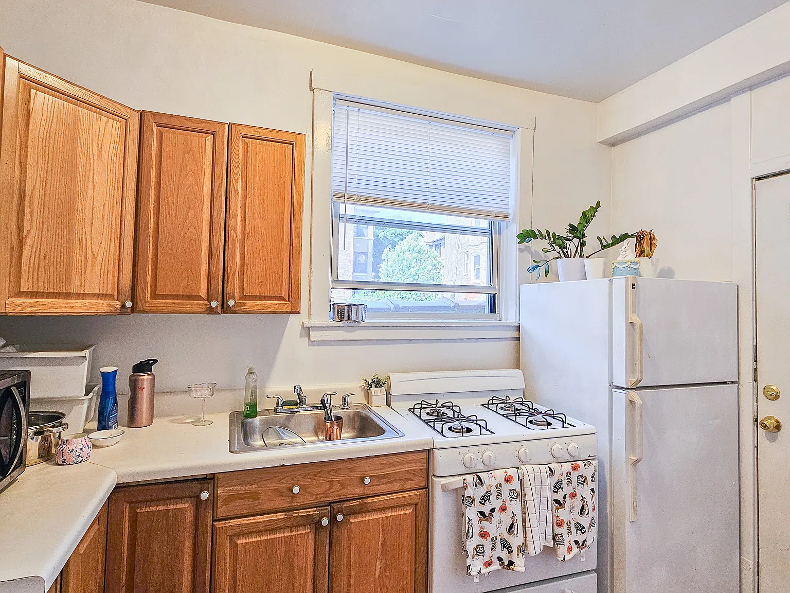 2 bed, 900 sqft, $1,750 — Photo 4