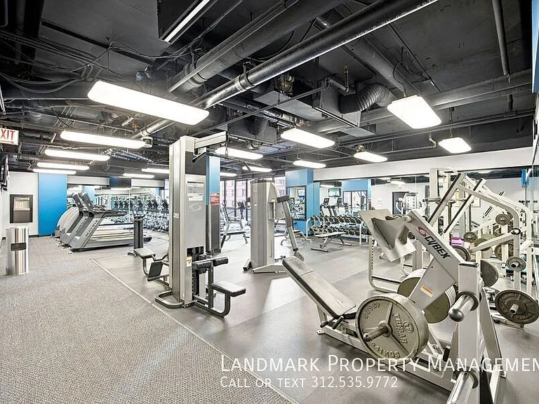 10 E Ontario St #4908 — Photo 39