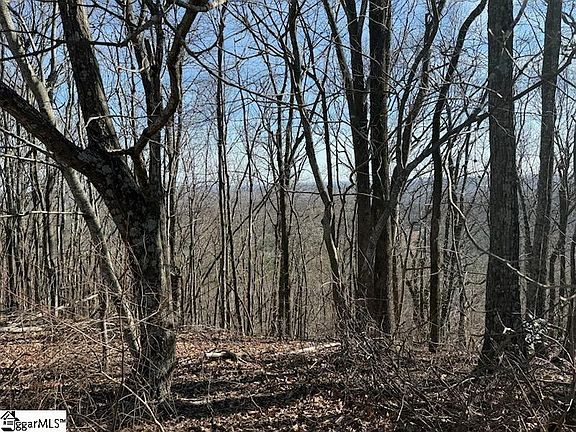 2nd image of 206 Eagle Rock Rd