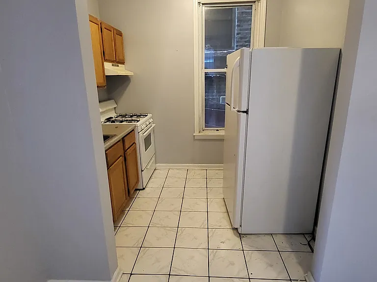 1025 W Cullerton St #1RFB — Photo 6