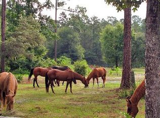 Hardeman Jct, Weeki wachee, FL 34614