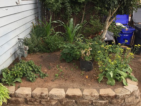 Small garden by garage