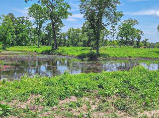 0 Tinney Rd, Livingston, TX 77351