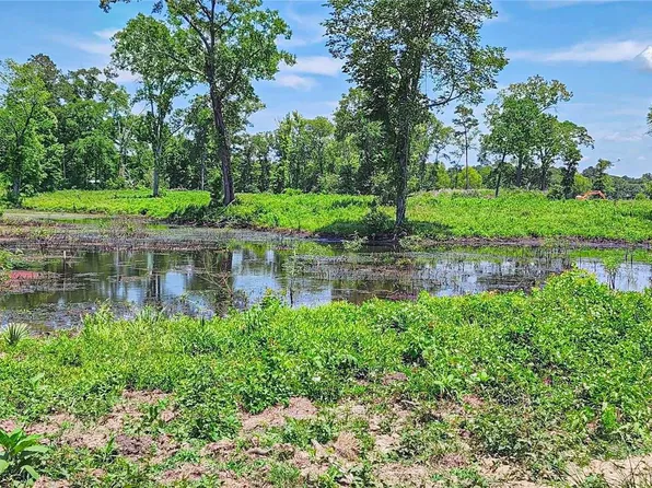 0 Tinney Rd, Livingston, TX 77351