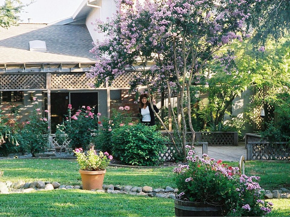 Backyard looking toward house during spring blossom