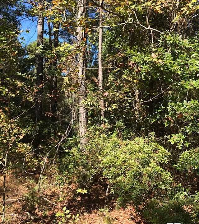 2nd image of 6343 Skunk Ln