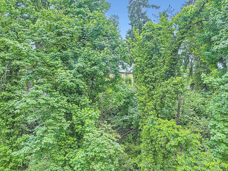 691 Molalla Ave #7 — Photo 6