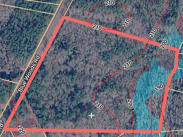 Blue Woods Rd, Laurinburg, NC 28352