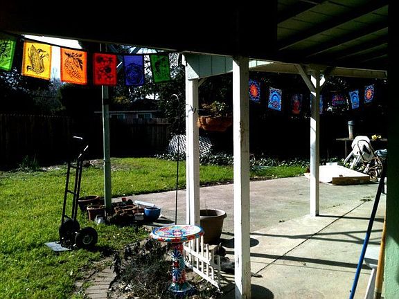 Back yard (partial)