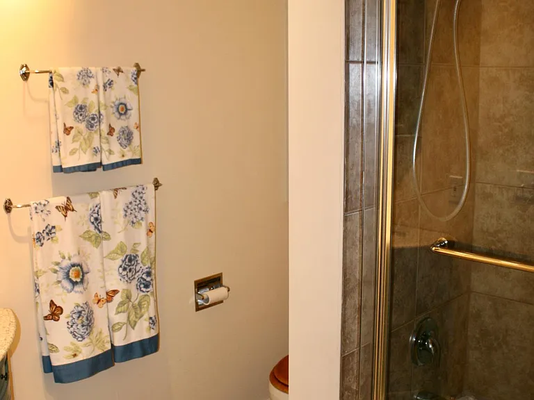 main bath with tub/shower.