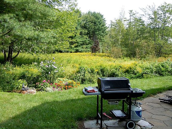 BBQ area in side yard