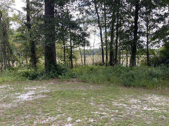 4th image of 5603 Landings Pkwy