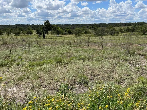 LOT 3 Jung Rd, Harper, TX 78631