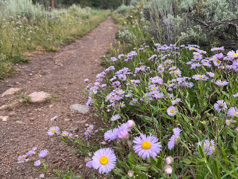 Miles of hiking trails just steps from your door.
