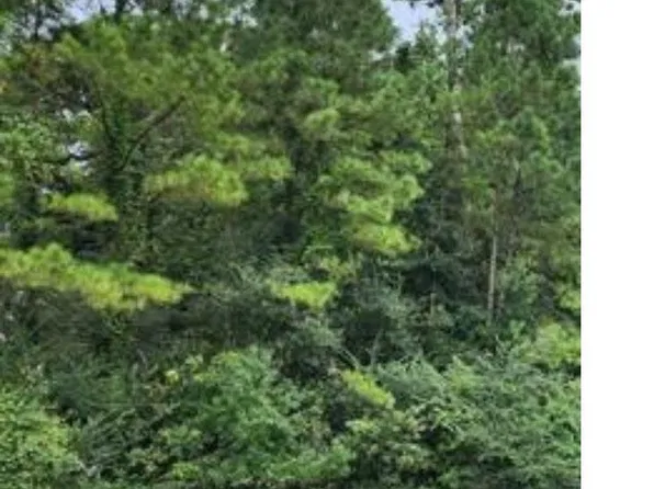 Tbd Joor Rd, Baton Rouge, LA 70818