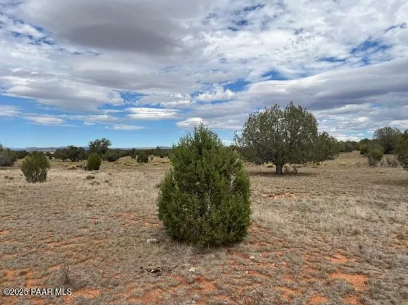 310 Dusty Rose Ranch Rd, Seligman, AZ 86337