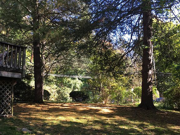 Right Back View_Trees, Flora, Grass