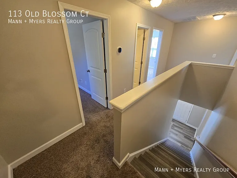 113 Old Blossom Ct — Photo 22