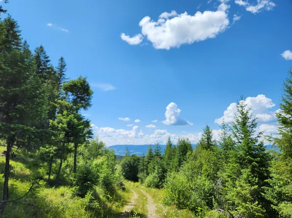 Tbd Bardwell Rd, Curlew, WA 99118