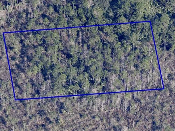 No Name Lot 22, Grant, FL 32949
