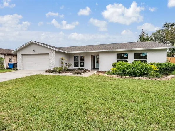 4201 Hollow Hill Dr, Tampa, FL 33624