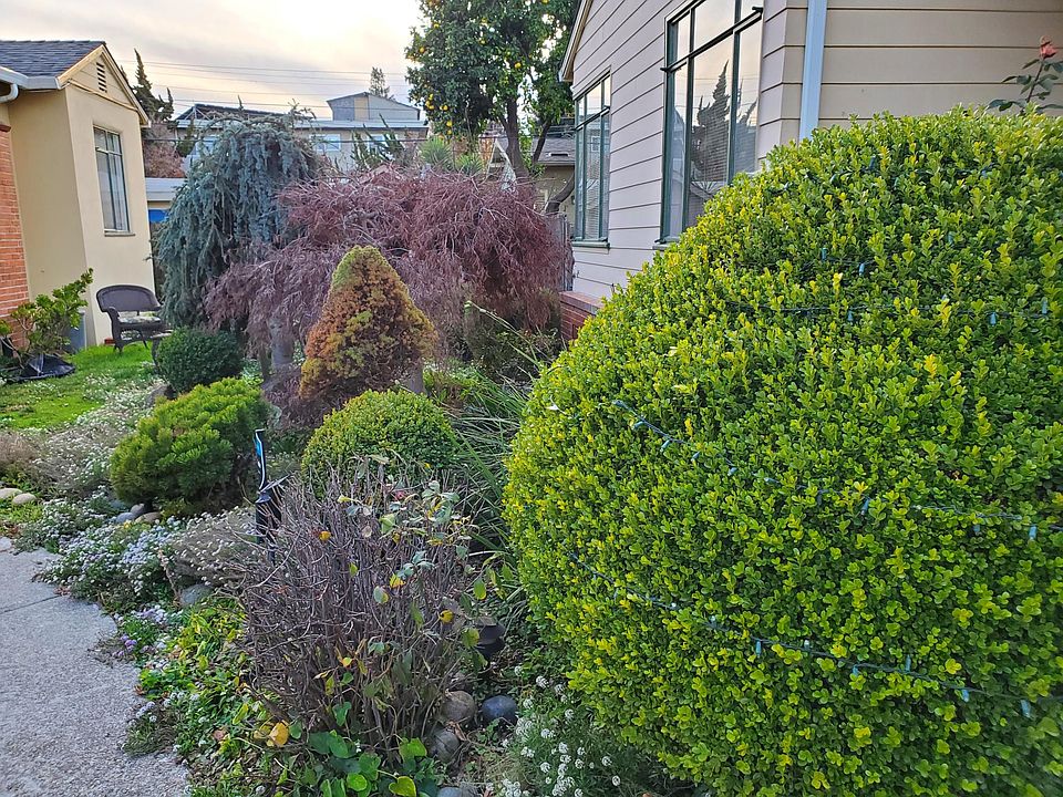 Beautiful Garden View