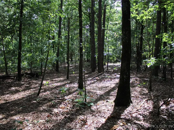 243 S 620th Rd, Jay, OK 74346