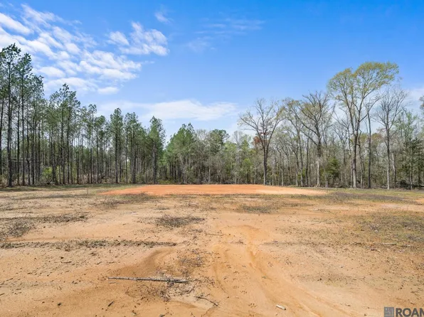 38520 Leggett Rd, Walker, LA 70785