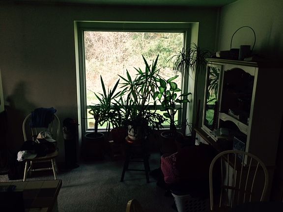 4th image of 8001 E C St