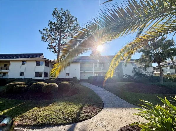 29230 Bay Hollow Dr N #3282, Wesley Chapel, FL 33543