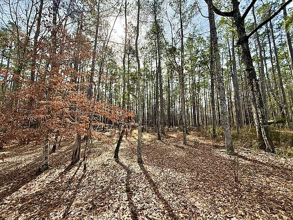 5th image of Mount Allison Rd Lot Wp001