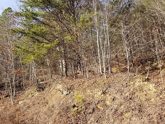 Image 3: Rolling