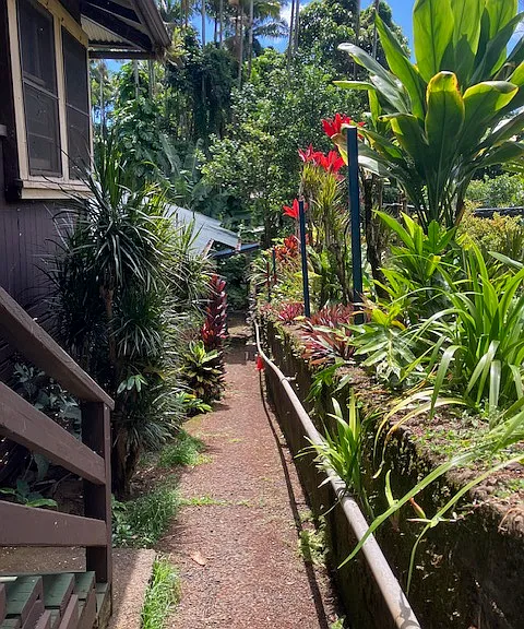 86C Puueo St #C — Photo 13