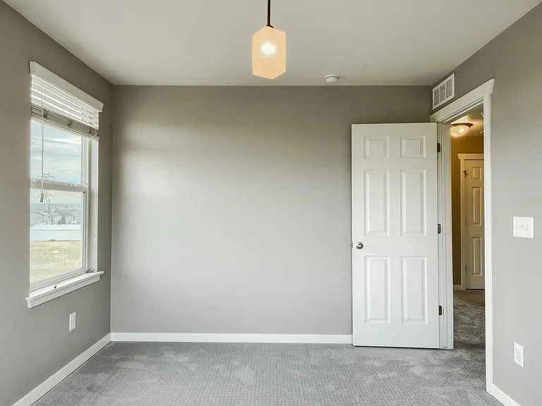 11554 Yellow Daisy Dr — Photo 12