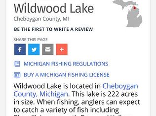 15335 Hillman Ct, Wolverine, MI 49799