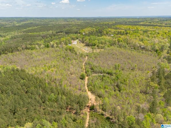 0 County Road 49 #1, Muscadine, AL 36269