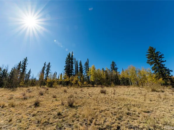 2479 Buffalo Ridge Road LOT 13, Jefferson, CO 80456